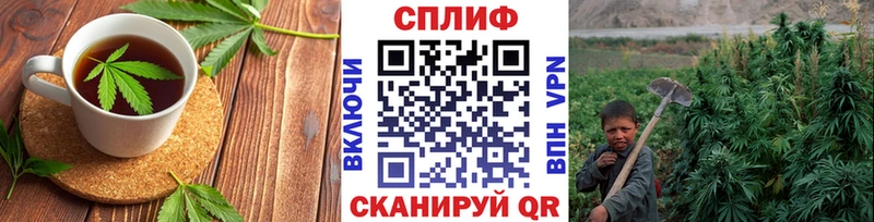 Купить где  Менделеевск  Cannafood конопля 