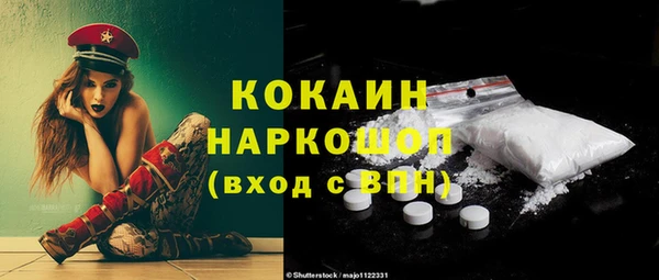 ГАЛЛЮЦИНОГЕННЫЕ ГРИБЫ Горняк