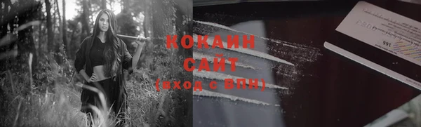 ГАЛЛЮЦИНОГЕННЫЕ ГРИБЫ Горняк
