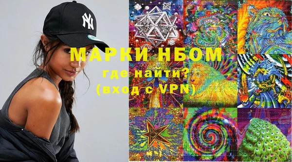 ГАЛЛЮЦИНОГЕННЫЕ ГРИБЫ Горняк