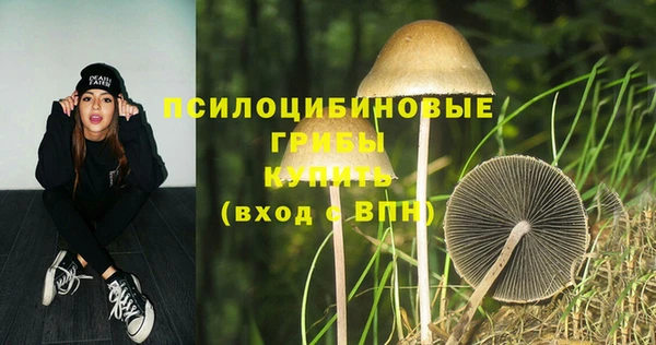 спиды Горнозаводск