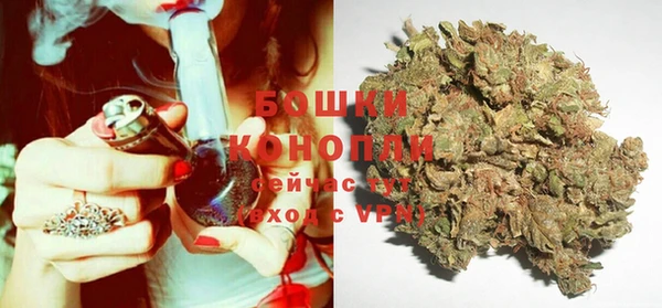 ГАЛЛЮЦИНОГЕННЫЕ ГРИБЫ Горняк