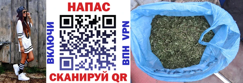 Каннабис сатива  Купить где  Менделеевск 